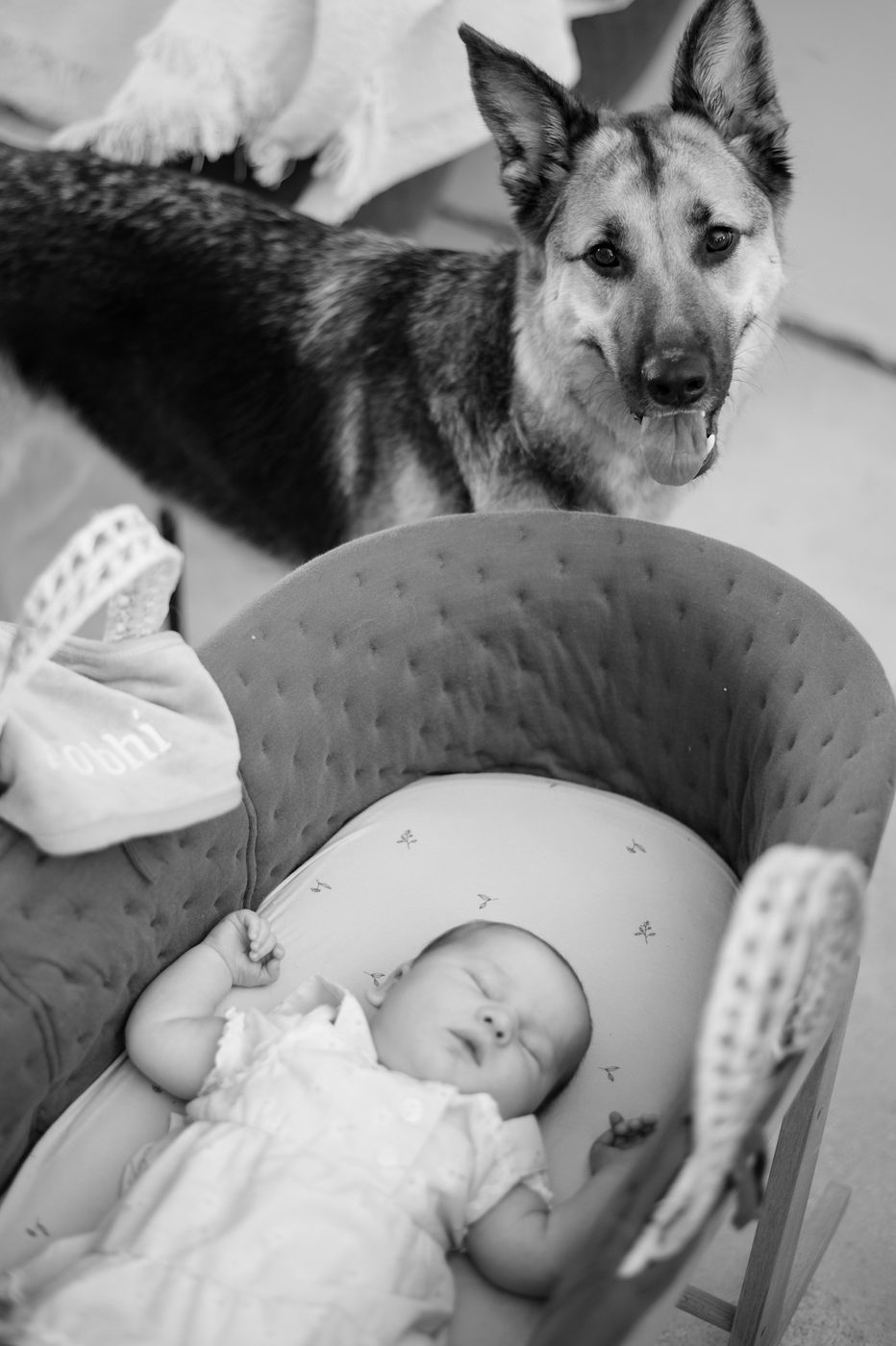 Lifestyle Newborn photography by Fox Photo